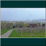 P1010566.jpg